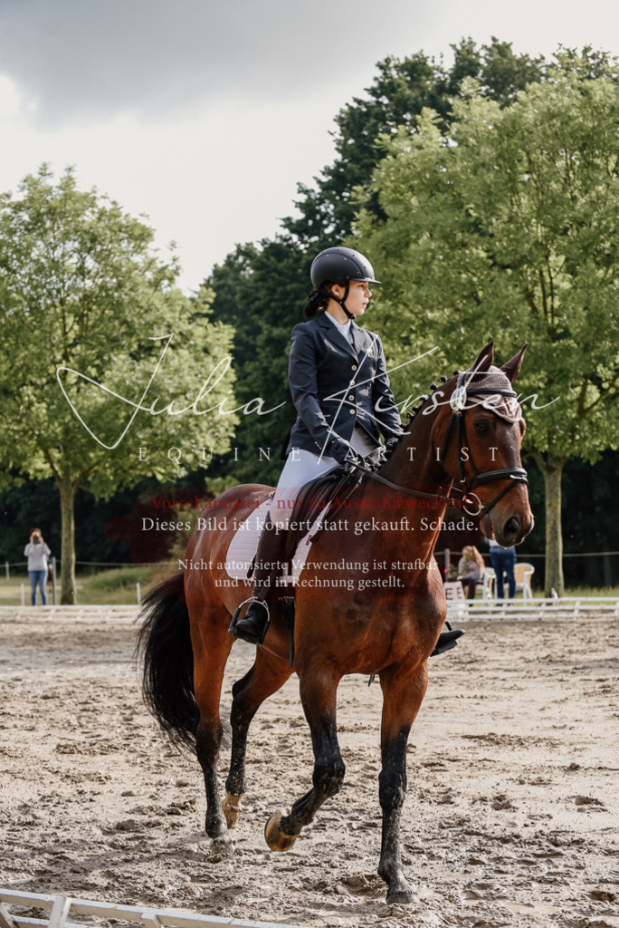 DSC_8619 | Pferde- und Turnierfotografie in Westsachsen. Pferdeportraits, Auftragszeichnungen und intuitive Kunst.