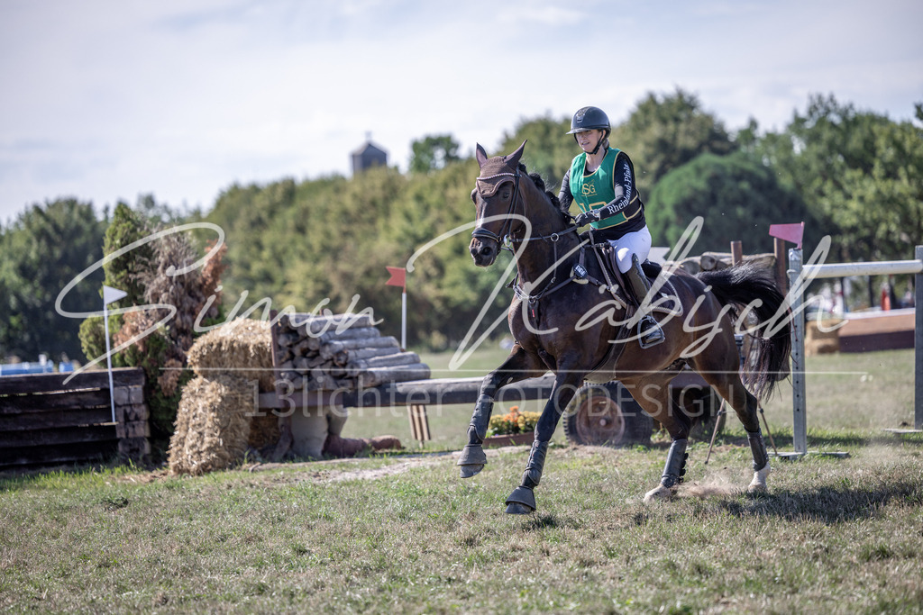 20260906-_3LI5647 | Tierfotografie Pferde, Hunde, Katzen, Haustiere.
Turnierfotografie Reitturniere, Reiten, Springreiten, Dressur in Hanau, dem Main-Kinzig-Kreis und dem Rhein-Main- Gebiet um Frankfurt
