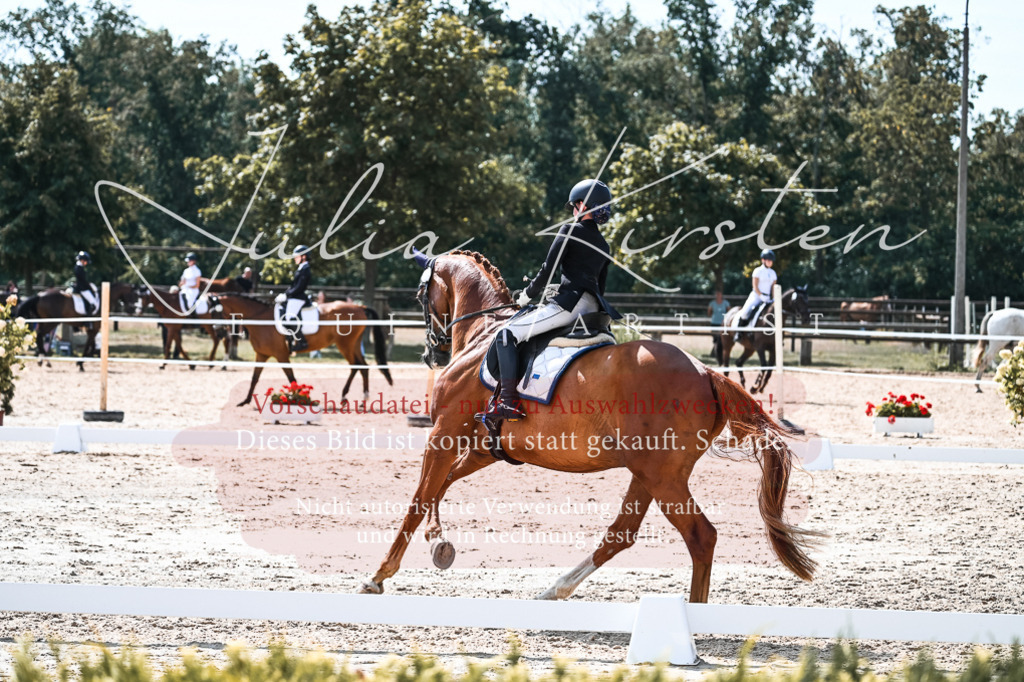 DSC_5102 | Pferde- und Turnierfotografie in Westsachsen. Pferdeportraits, Auftragszeichnungen und intuitive Kunst.