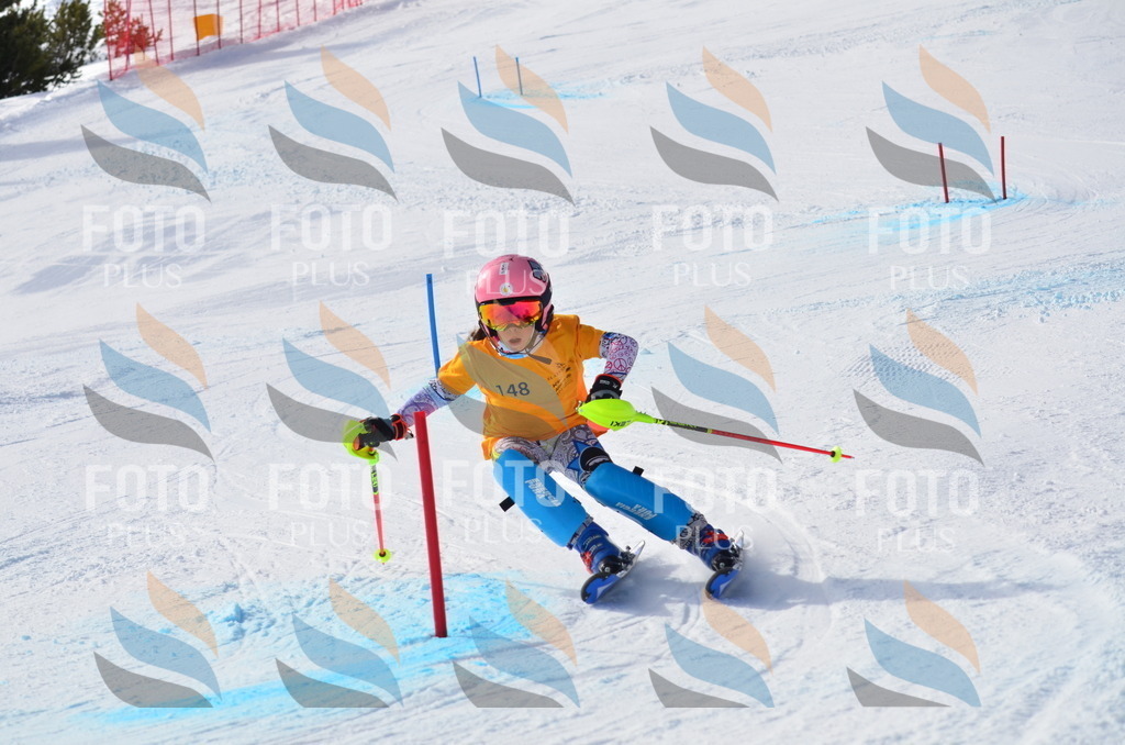 C7739 | holidayphoto