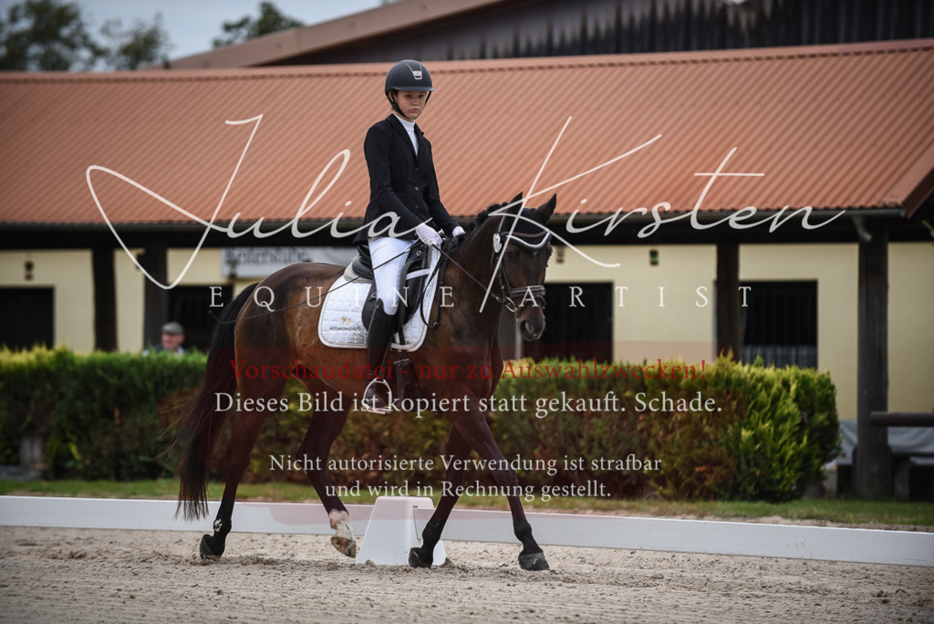 DSC_7904 | Pferde- und Turnierfotografie in Westsachsen. Pferdeportraits, Auftragszeichnungen und intuitive Kunst.