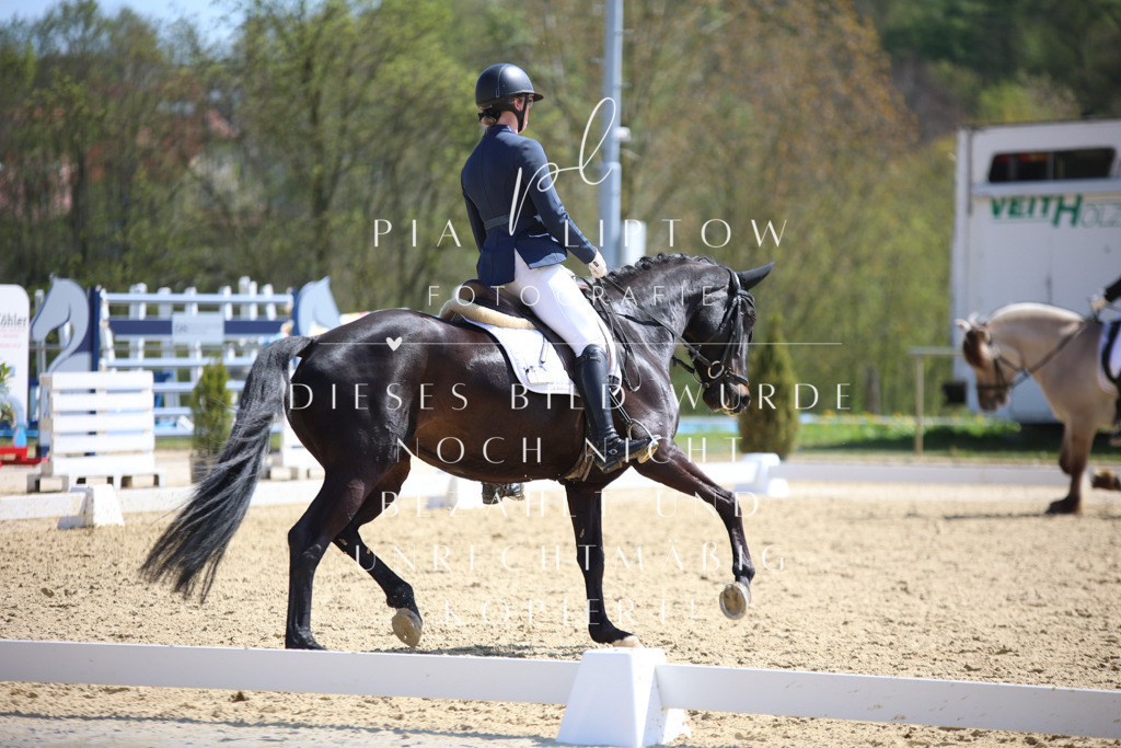 IMGT1961 | pl-fotografie