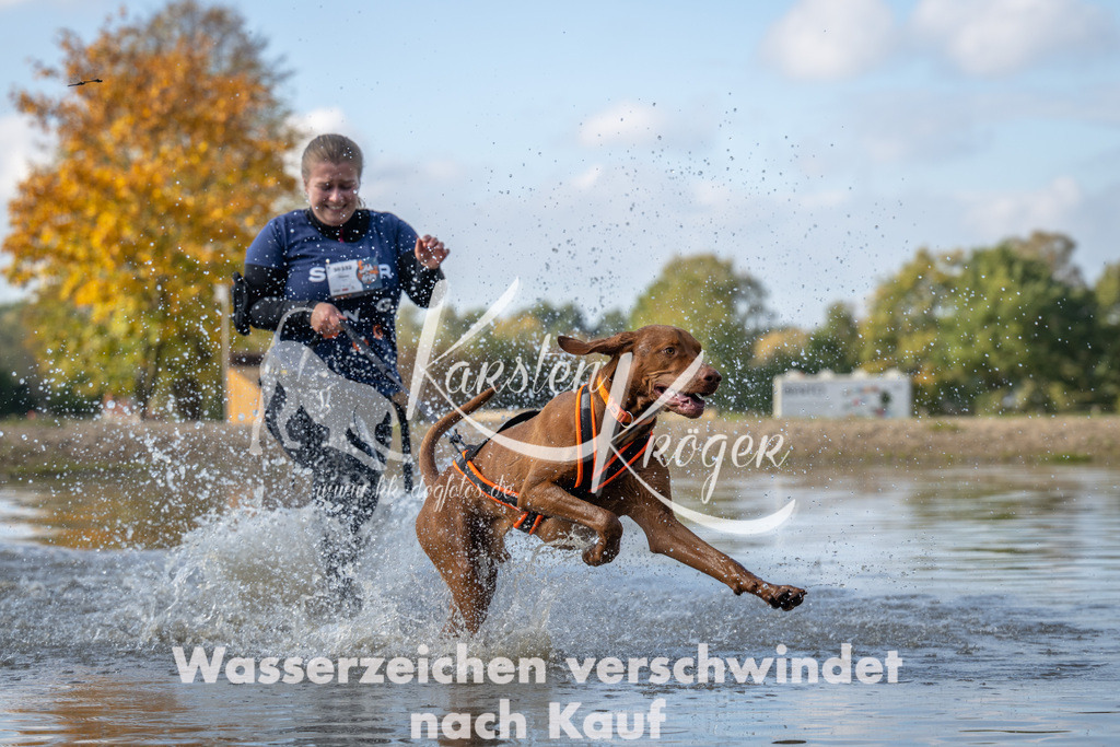 1258_ZZ94375 | kk-dogfotos