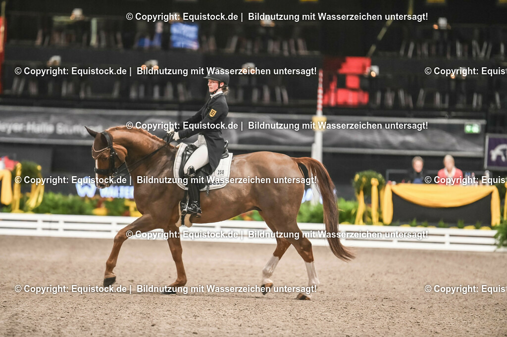 20231115_20_Dressur_Kl-S++_0152_TOMsPiC | Foto: Thomas Hartig