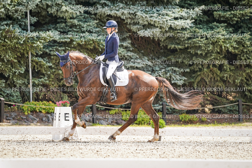 DSC09317 | Pferdegrafie