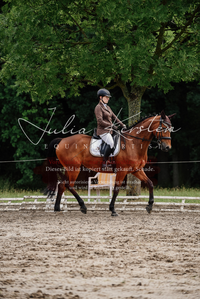 DSC_9485 | Pferde- und Turnierfotografie in Westsachsen. Pferdeportraits, Auftragszeichnungen und intuitive Kunst.