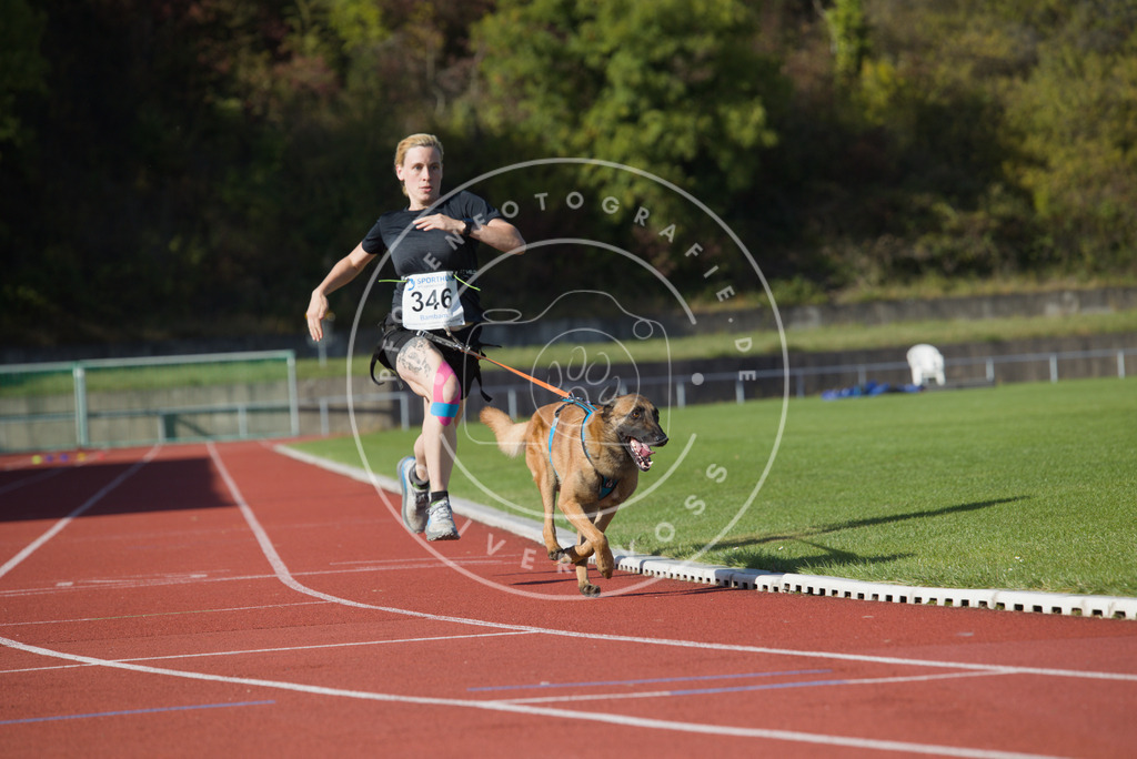0L8A9306 | Hundefotografie, Tierfotograf, Pfotenfotografie, Fotoshooting Hund, Hunde Portrait, Hundesport, Hundeportraits, Heideshooting, Hunde, Sportfotograf, Hundefotograf, Turnierhundsport, THS,  - Realisiert mit Pictrs.com