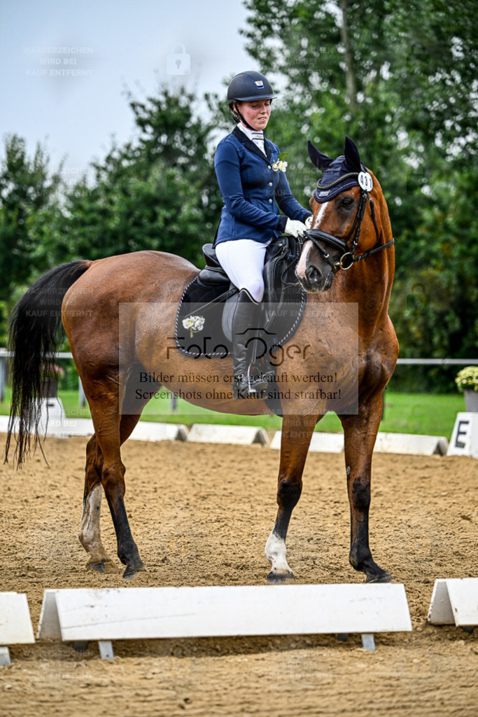 Reitturnier Hasbergen | Entdecke hochwertige Reitturnierfotos von Foto Oger. Professionell, emotional und authentisch – jetzt Lieblingsmomente im Shop bestellen. - Realisiert mit Pictrs.com