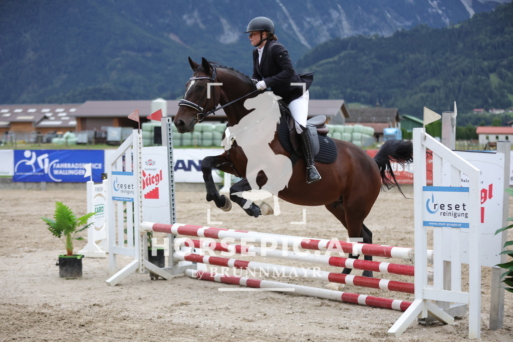 0P6A0400 | Willkommen bei Brunnmayr - Design & Fotografie – Ihrem Spezialisten für Reitturniere und Pferdeveranstaltungen in Oberösterreich, Salzburg und Bayern! Seit über 17 Jahren sind wir leidenschaftlich dabei.