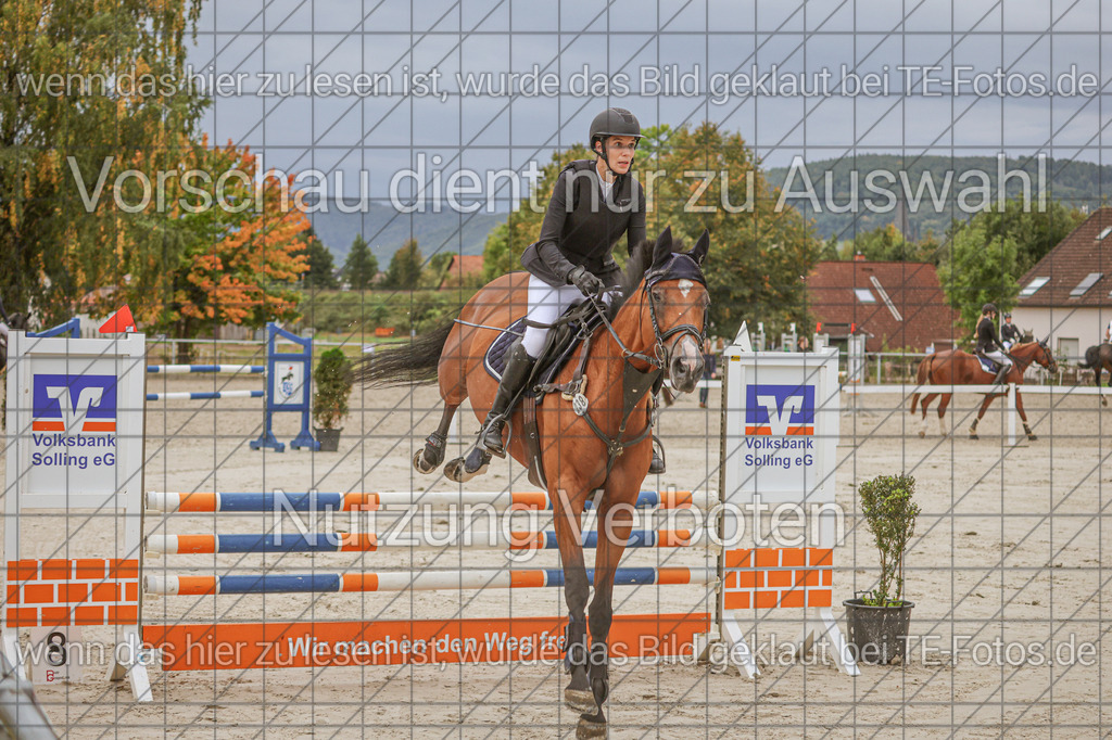 2025-09-22_09-35-58_MG_3833 | TE-Fotos