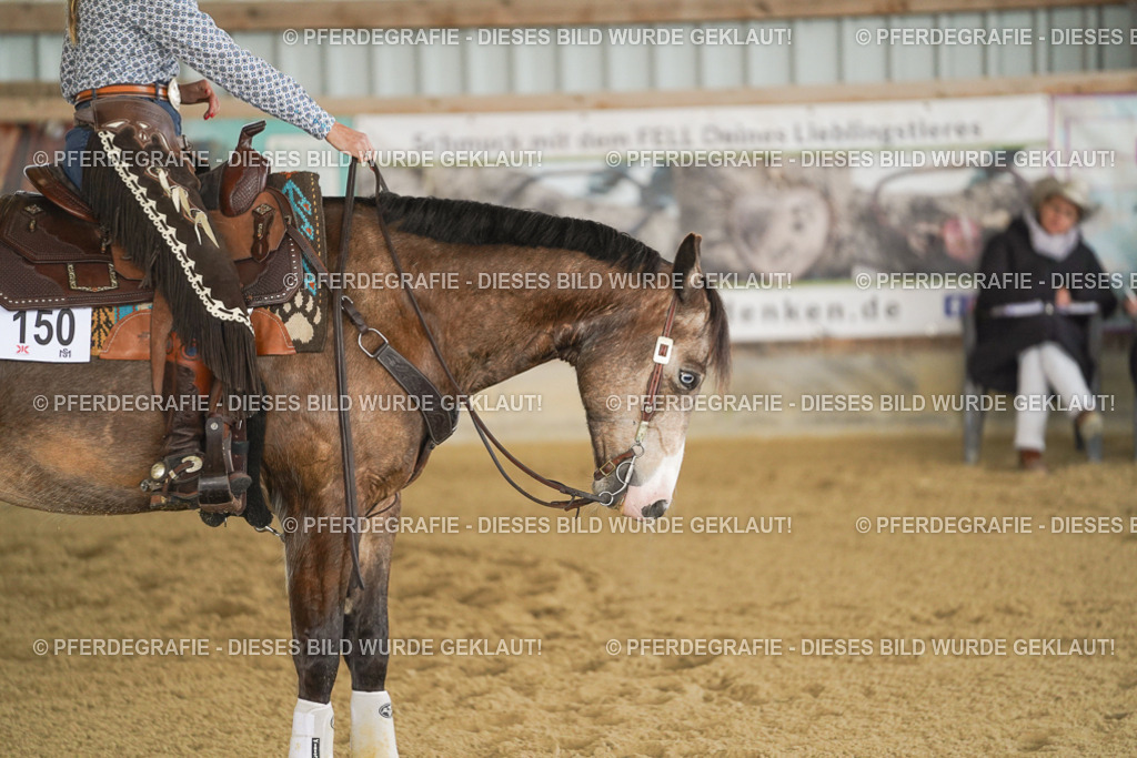 DSC02725 | Pferdegrafie