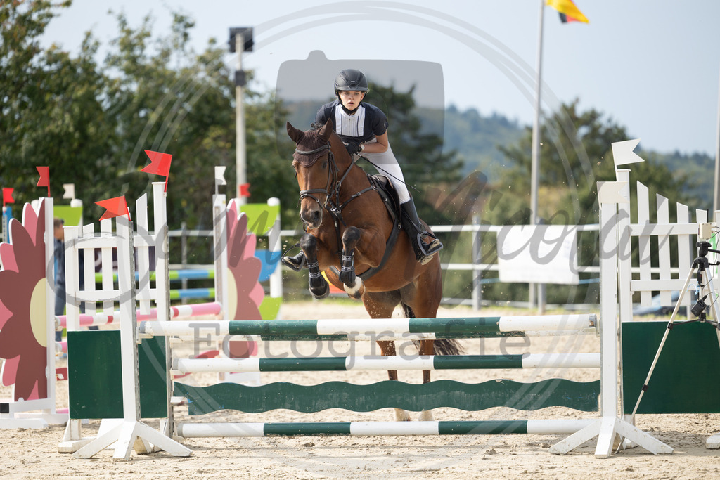 994A1960 | sabrinanicolaifotografie - Realisiert mit Pictrs.com