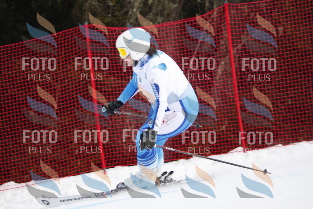 D4640 | holidayphoto