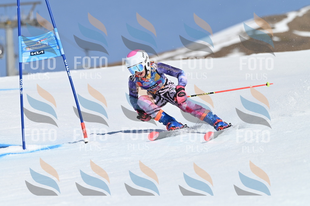 BGV_8785 | holidayphoto