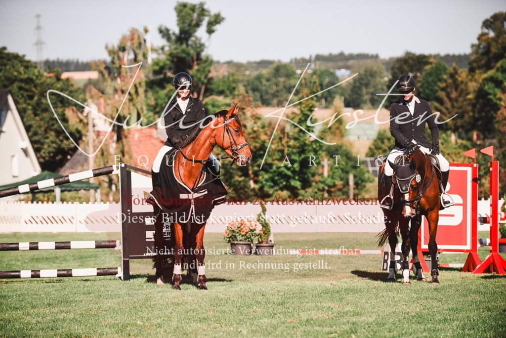 DSC_2293 | Pferde- und Turnierfotografie in Westsachsen. Pferdeportraits, Auftragszeichnungen und intuitive Kunst.