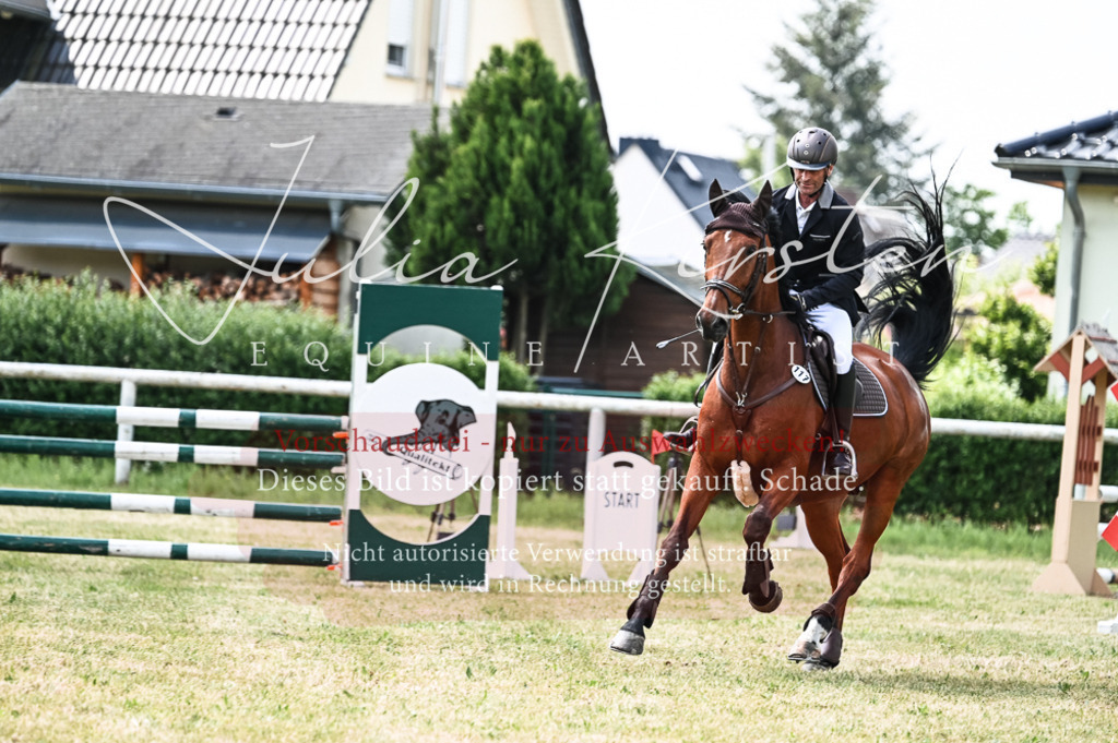 DSC_9149 | Pferde- und Turnierfotografie in Westsachsen. Pferdeportraits, Auftragszeichnungen und intuitive Kunst.