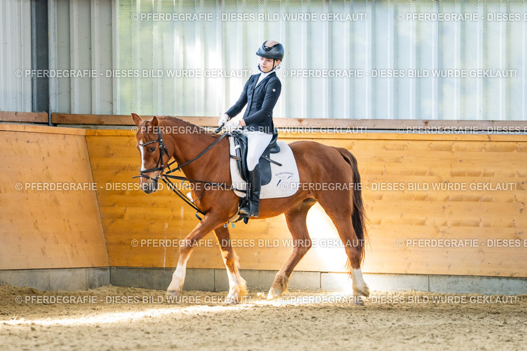 DSC02951 | Pferdegrafie