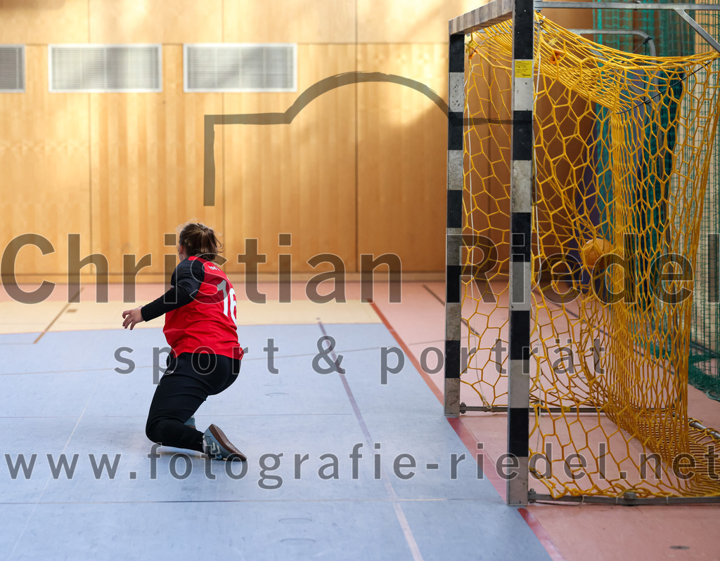 2023-03-18_077_SpVgg_Altenerding_II_gegen_HSG_Freising-Neufahrn_II | Erding, Deutschland, 18.03.2023:
Handball, Bezirksliga Frauen Altbayern 2022 / 2023, 14. Spieltag, SpVgg Altenerding II gegen HSG Freising-Neufahrn II, Endergebnis: 25:27

Torfrau Hanna Knecht (HSG Freising-Neufahrn, #16)

Foto: Christian Riedel / fotografie-riedel.net