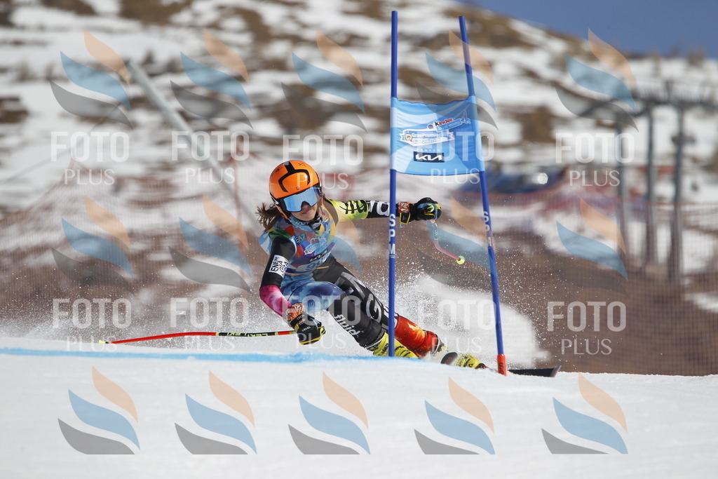 _U3G0285 | holidayphoto