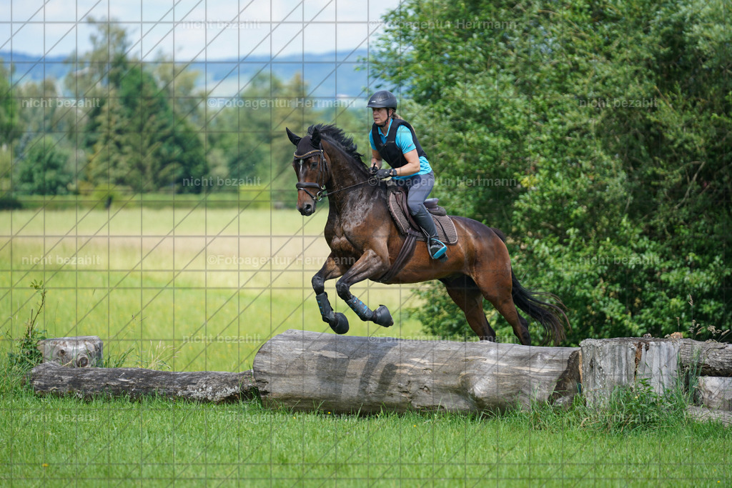 20240622-FAH07653 | Turnierfotografen Bayern, Reitsportbilder aus dem Geländekurs mit Felix Etzel auf dem Gut Waitzacker 2024
