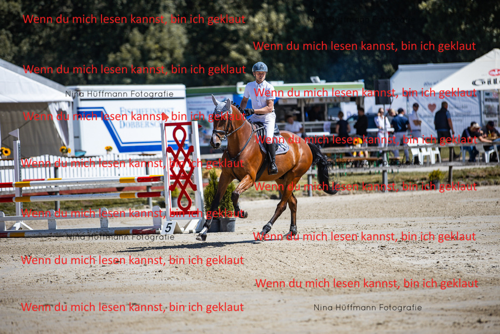 BK1A5348 | Turnierbilder Turnierfotos Nina Hüffmann Turnierfotografie Pferdefotografie Tierzeichnung Haustierzeichnung Pferdezeichnung Hundezeichnung Videograf  - Realisiert mit Pictrs.com