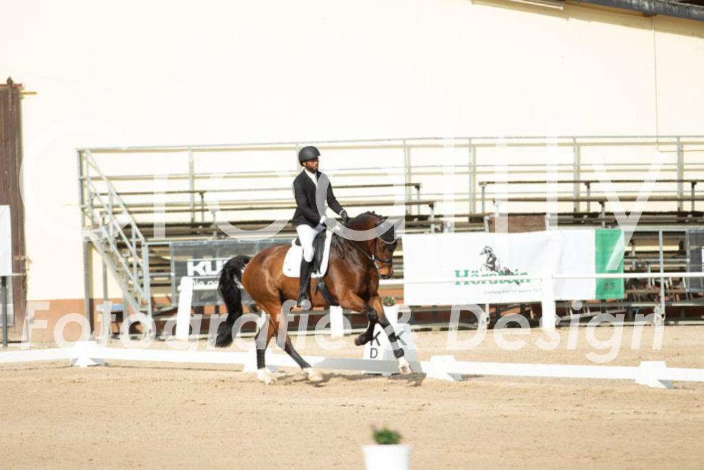 IMG_0496 | Creatify Fotografie