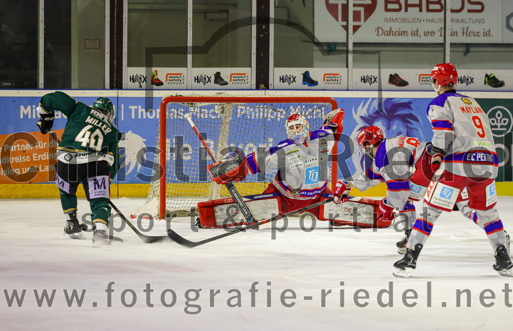 2026-02-15_068_TSV_Erding_gegen_EC_Peiting | Erding, Deutschland, 15.02.2026:Eishockey, Oberliga Süd 2025 / 2026, 47. Spieltag, TSV Erding gegen EC Peiting, Endergebnis: 4:5Dennis Miller (Erding Gladiators, #40), Torwart Tommi Steffen (EC Peiting, #1), Tim Mühlegger (EC Peiting, #84), Justin Maylan (EC Peiting, #9)Foto: Christian Riedel / fotografie-riedel.net