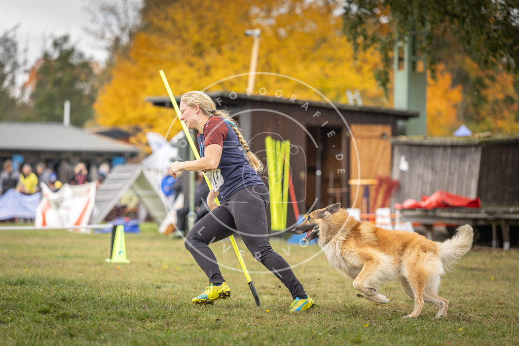 Pfotenfotografie_DV3A6634 | Hundefotografie, Tierfotograf, Pfotenfotografie, Fotoshooting Hund, Hunde Portrait, Hundesport, Hundeportraits, Heideshooting, Hunde, Sportfotograf, Hundefotograf, Turnierhundsport, THS,  - Realisiert mit Pictrs.com