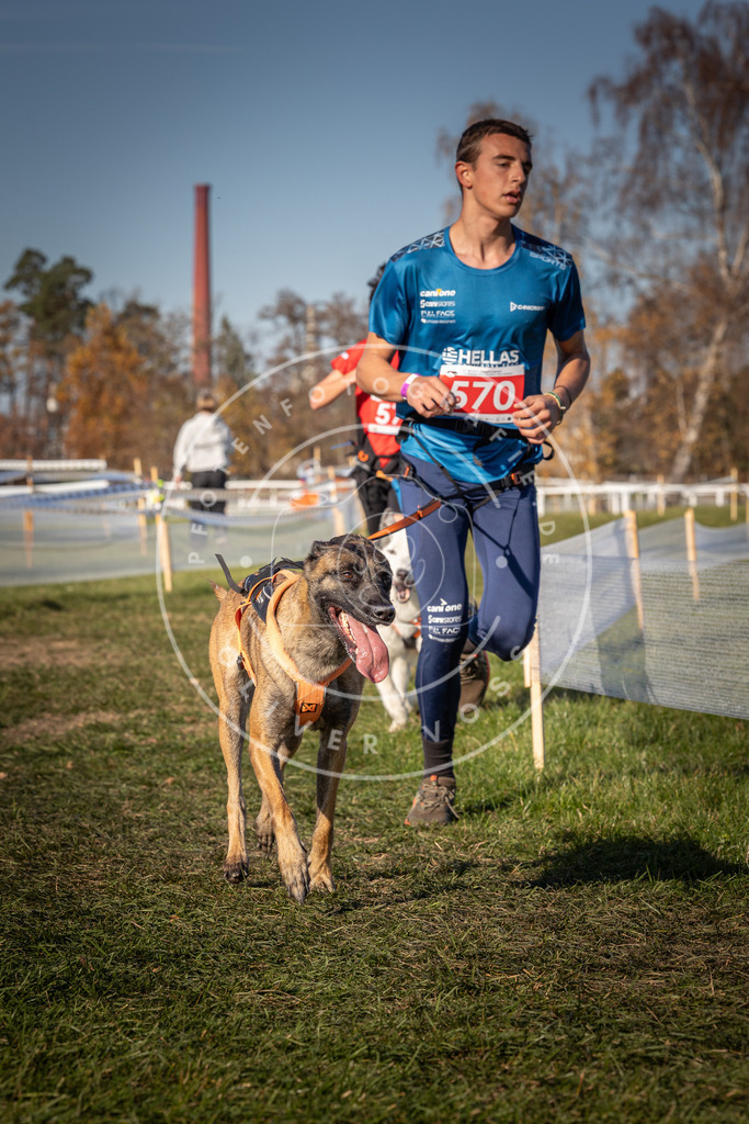 CaniXpix_0L8A8094 | Hundefotografie, Tierfotograf, Pfotenfotografie, Fotoshooting Hund, Hunde Portrait, Hundesport, Hundeportraits, Heideshooting, Hunde, Sportfotograf, Hundefotograf, Turnierhundsport, THS,  - Realisiert mit Pictrs.com