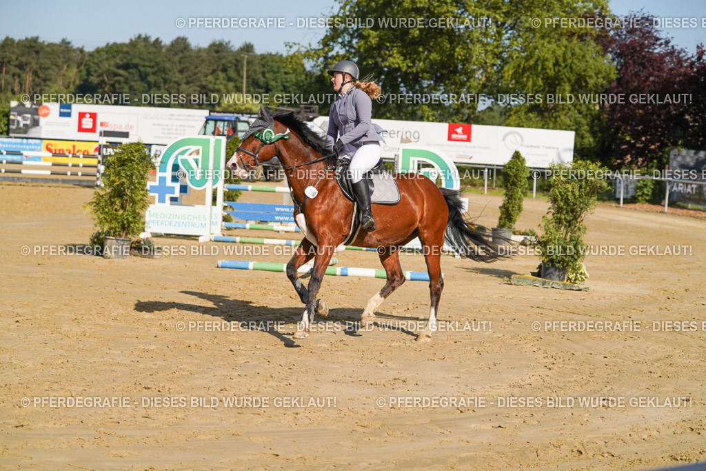 DSC05396 | Pferdegrafie