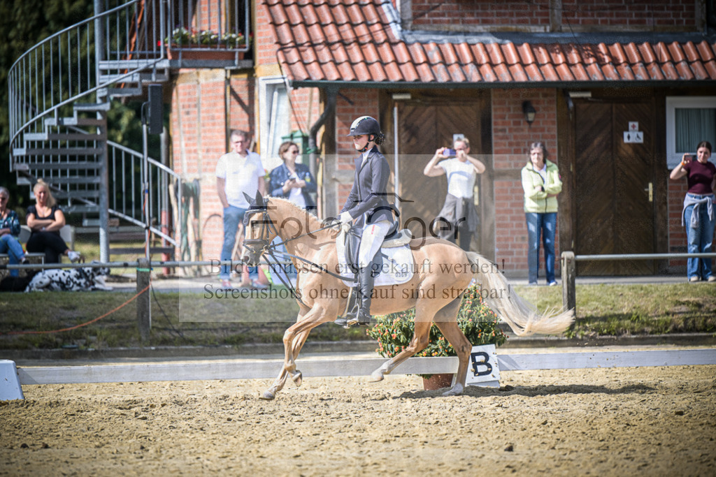 DOS_8055 | Entdecke hochwertige Reitturnierfotos von Foto Oger. Professionell, emotional und authentisch – jetzt Lieblingsmomente im Shop bestellen.Deutschlandweite Turnierfotografie. - Realisiert mit Pictrs.com