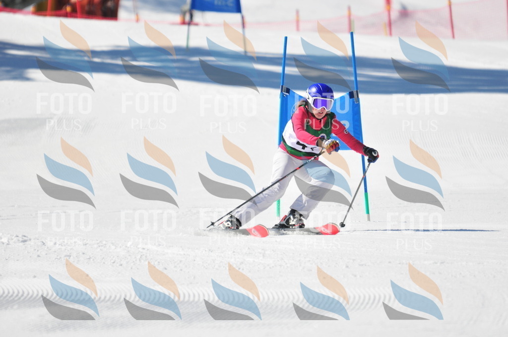 C4175 | holidayphoto