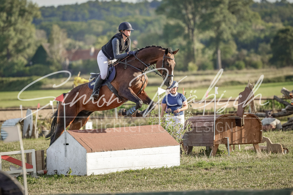 20250906-_3LI7805 | Tierfotografie Pferde, Hunde, Katzen, Haustiere.
Turnierfotografie Reitturniere, Reiten, Springreiten, Dressur in Hanau, dem Main-Kinzig-Kreis und dem Rhein-Main- Gebiet um Frankfurt