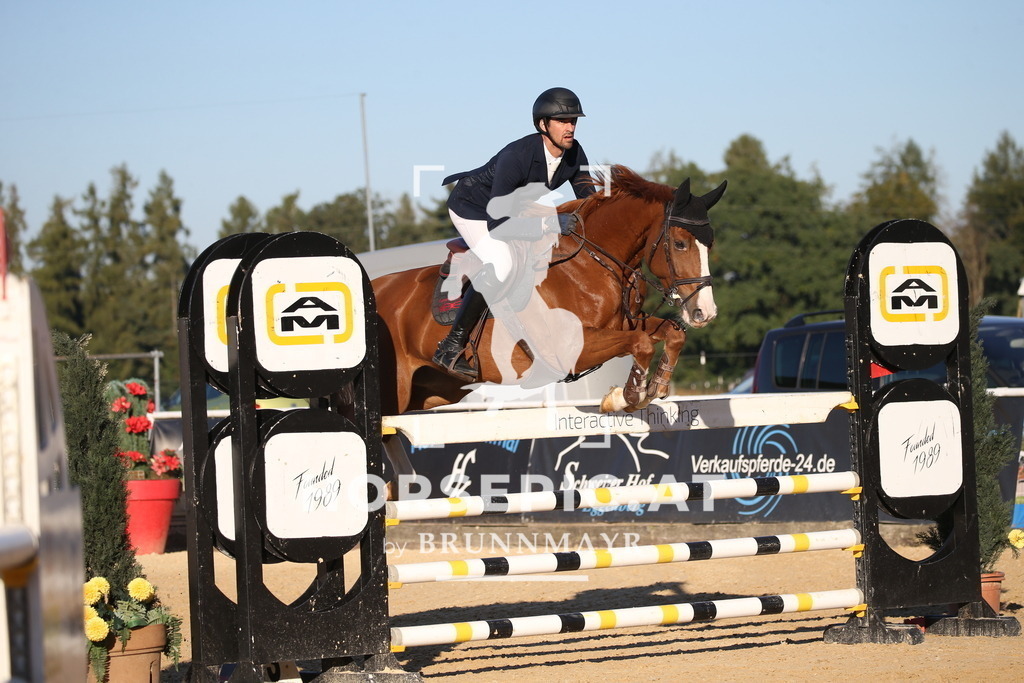 DL2Q4397 | Willkommen bei Brunnmayr - Design & Fotografie – Ihrem Spezialisten für Reitturniere und Pferdeveranstaltungen in Oberösterreich, Salzburg und Bayern! Seit über 17 Jahren sind wir leidenschaftlich dabei.