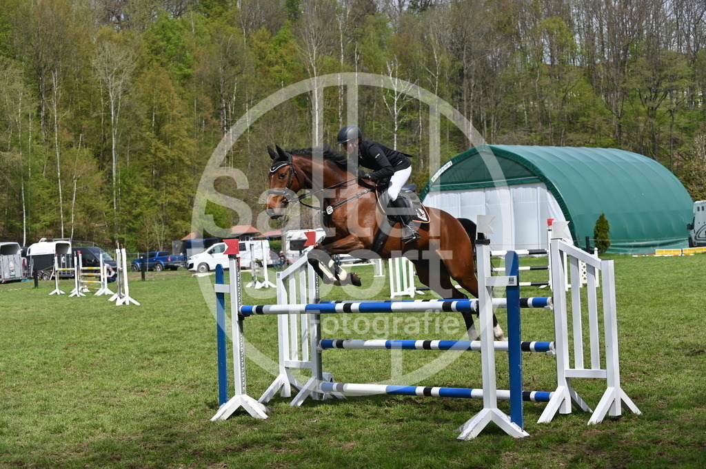 DSC_2732 | sattelsport - Realisiert mit Pictrs.com