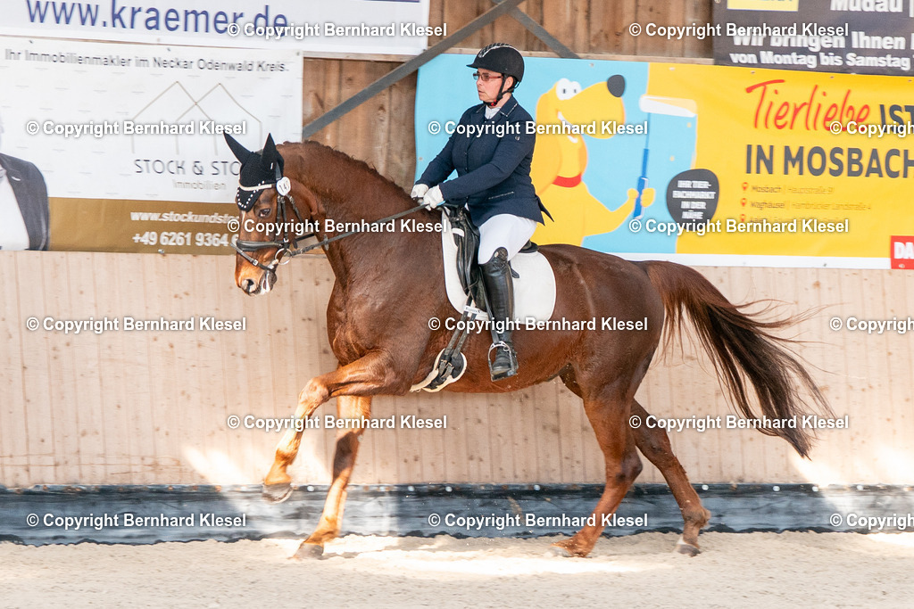 2A902602 | foto-team-bernhard - Realisiert mit Pictrs.com
