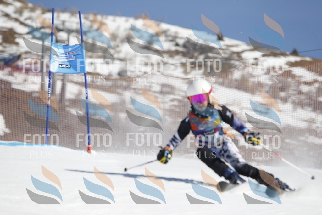 _U3G8791 | holidayphoto