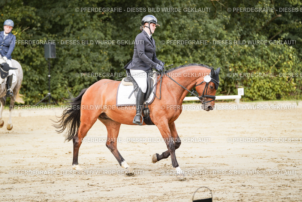 DSC01683 | Pferdegrafie