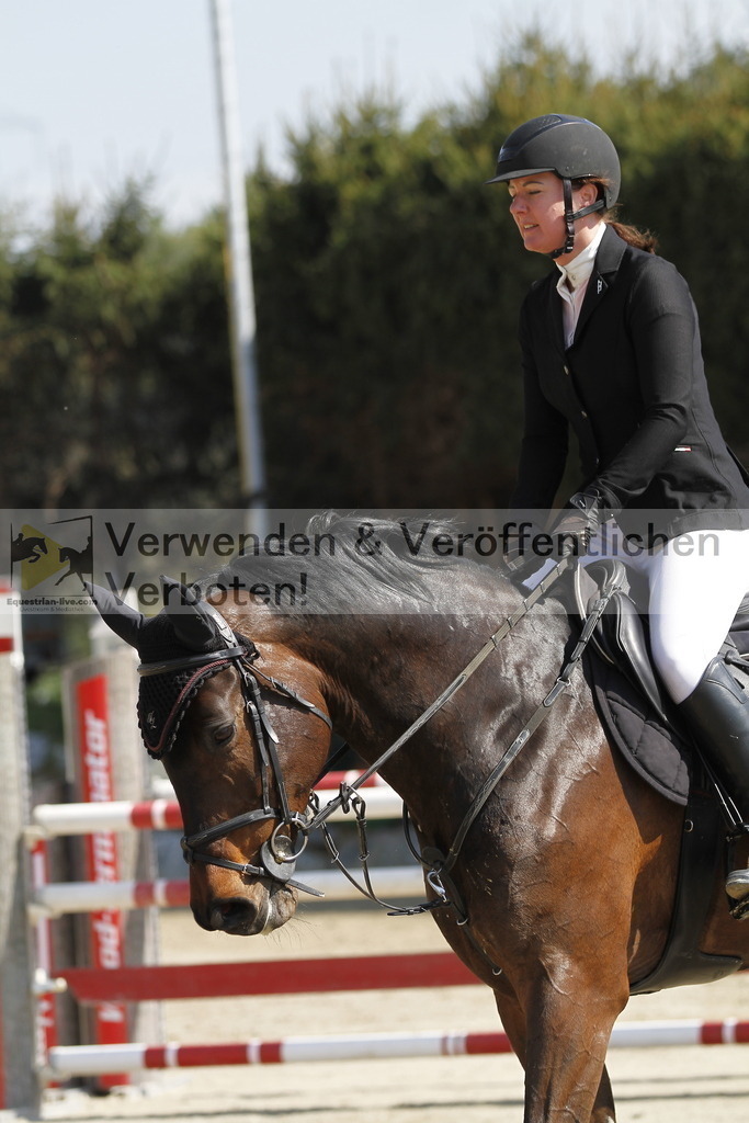 _MG_9588 | equestrian-live-com