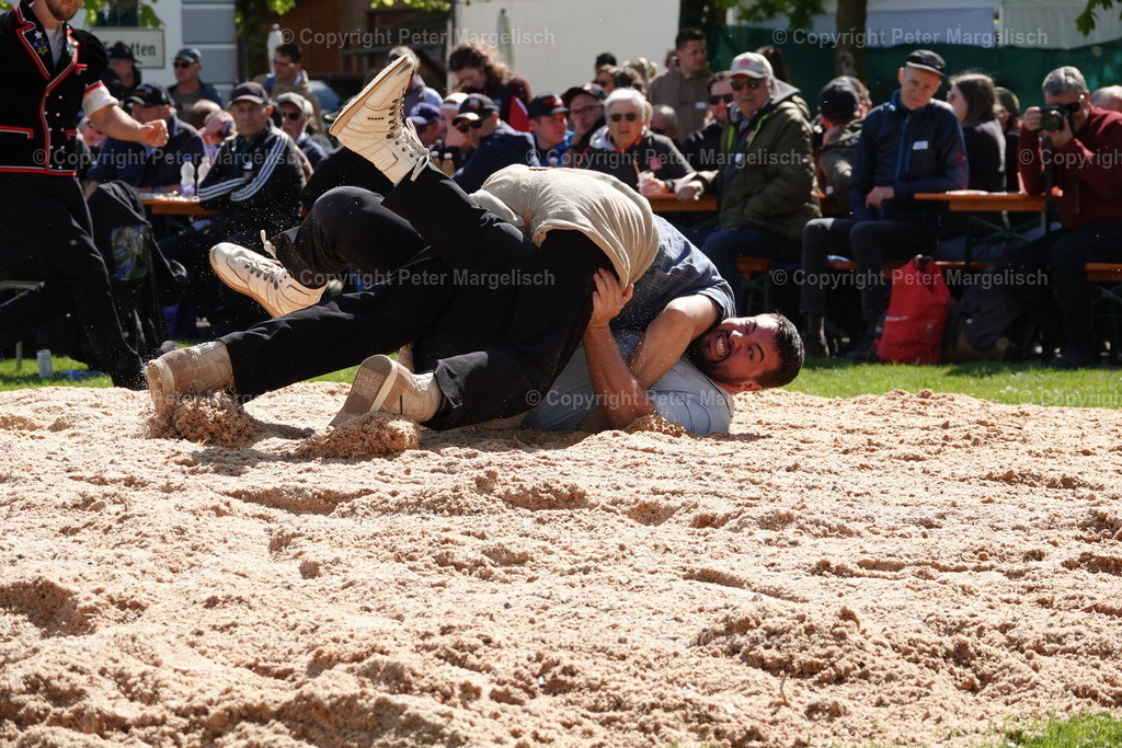 DSC00520 | Schwingen - Realisiert mit Pictrs.com