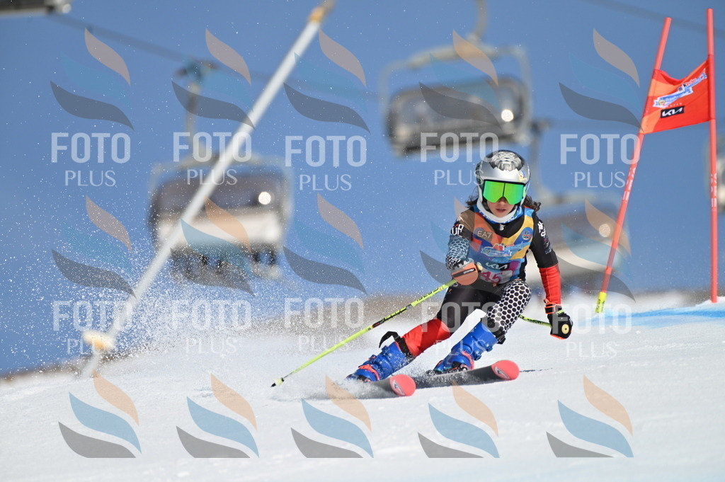 BGV_8438 | holidayphoto