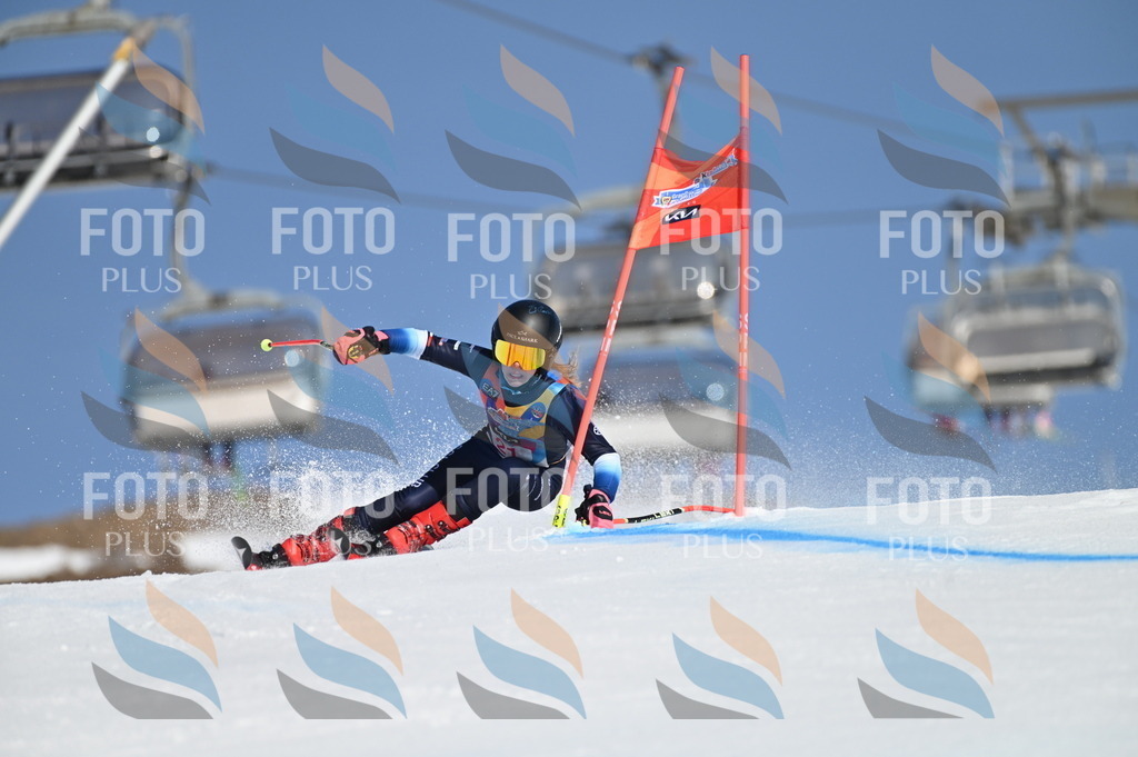 BGV_7944 | holidayphoto