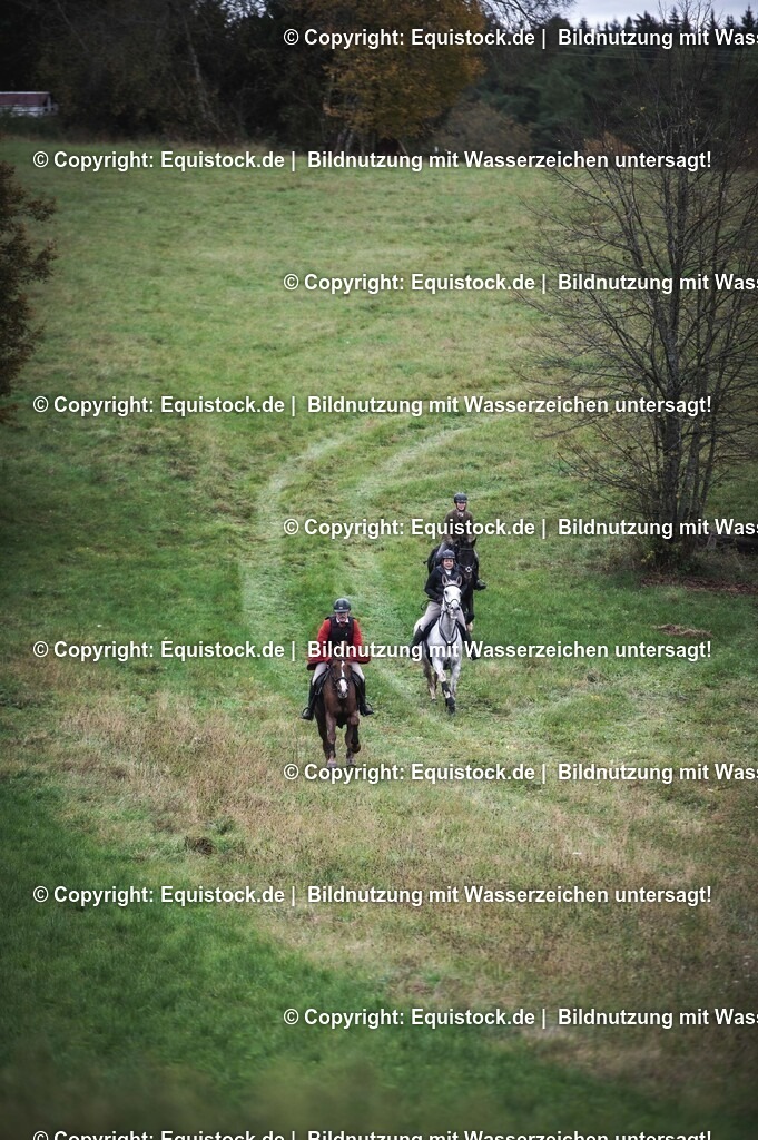 20241013_Jagd-Marbach_0301 | Foto: Thomas Hartig