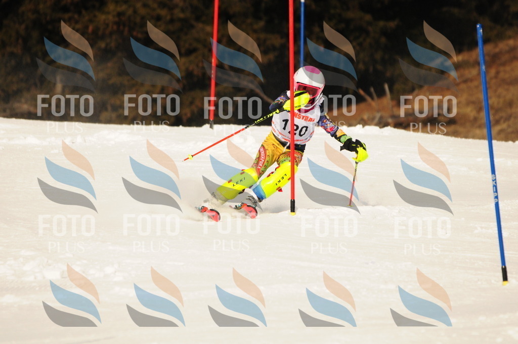 A0553 | holidayphoto