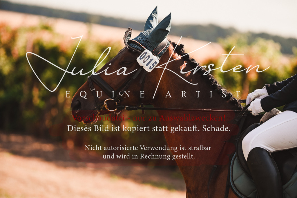 DSC_7321 | Pferde- und Turnierfotografie in Westsachsen. Pferdeportraits, Auftragszeichnungen und intuitive Kunst.