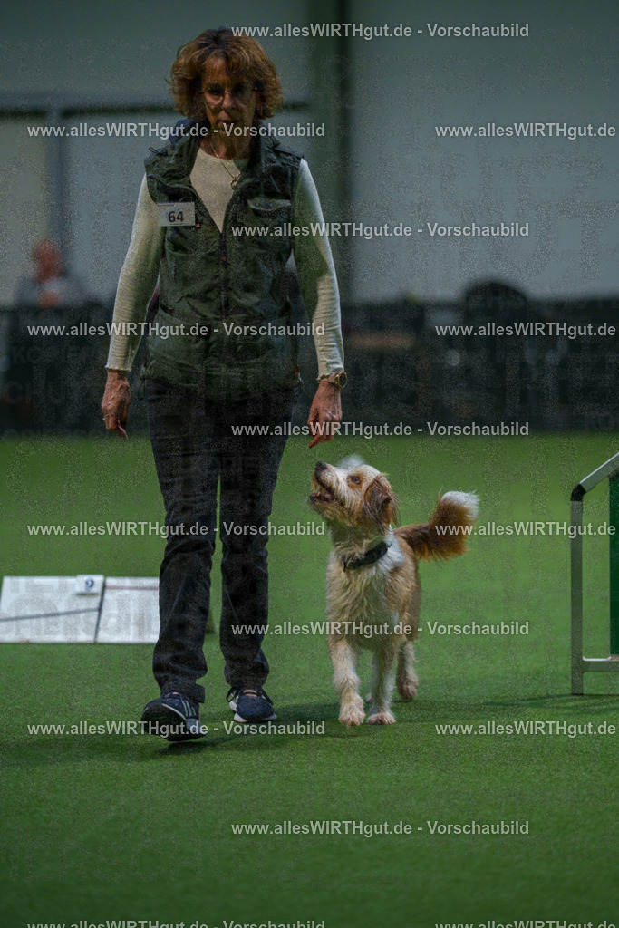 7R503412 | Professionelle Tierfotografie in Mönchengladbach von Daniel Wirth (allesWIRTHgut). Liebevolle & natürliche Bilder von Hunden & Katzen für unvergessliche Erinnerungen.