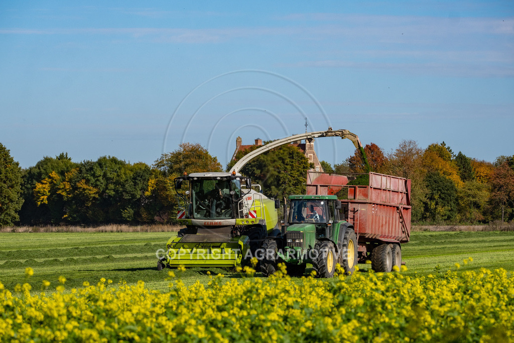 20221012-_DSF9318-Bearbeitet | Der letze Grasschnitt im Jahr - Realisiert mit Pictrs.com