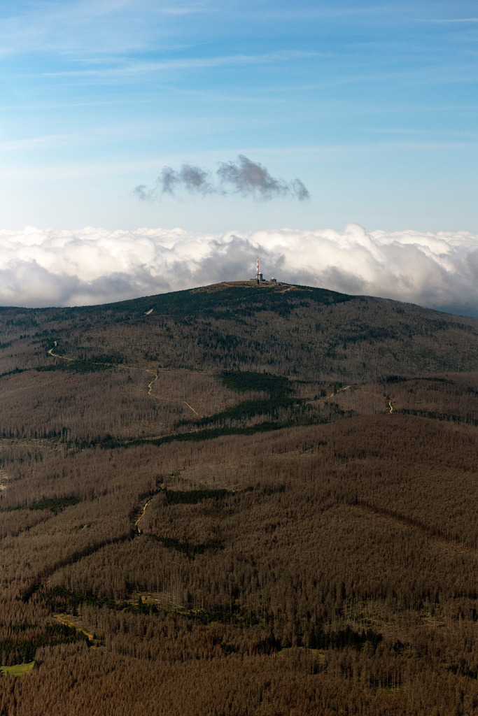 dr__0074035.jpg | SCHIERKE 01.09.2021 Gipfel des Brockengebirges im Harz in Schierke im Bundesland Sachsen-Anhalt. // Forest and mountain scenery Brocken in winter in Schierke in the state Saxony-Anhalt. Foto: Daniel Reiter