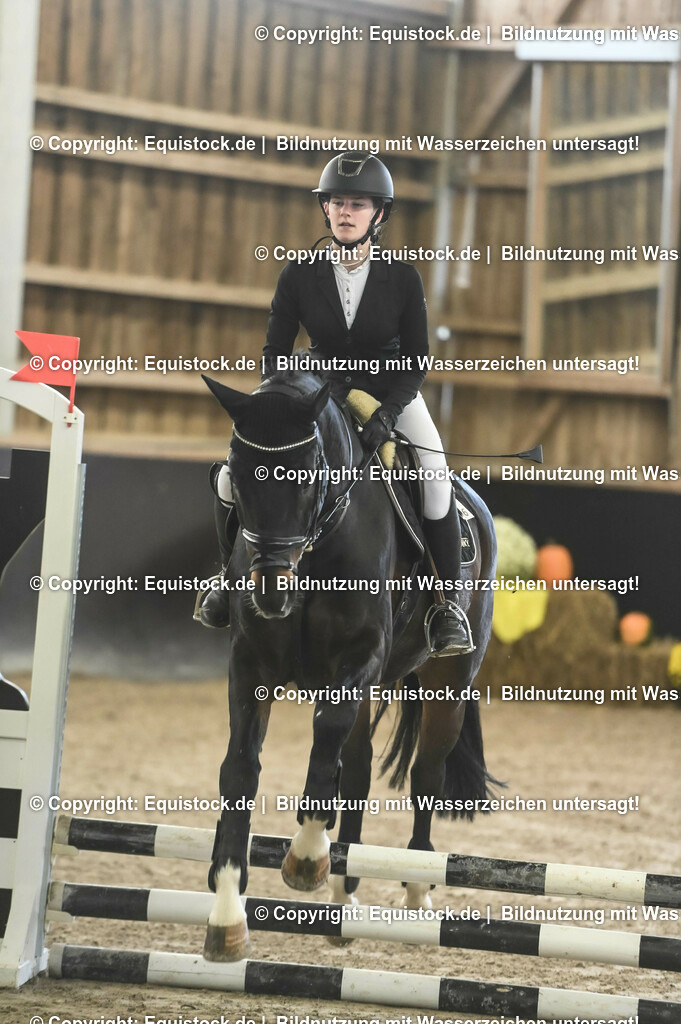 20231029_07_Stilspring-WB-50cm_0012 | Foto: Thomas Hartig