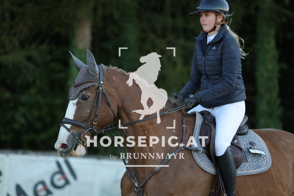 0P6A1955 | Willkommen bei Brunnmayr - Design & Fotografie – Ihrem Spezialisten für Reitturniere und Pferdeveranstaltungen in Oberösterreich, Salzburg und Bayern! Seit über 17 Jahren sind wir leidenschaftlich dabei.